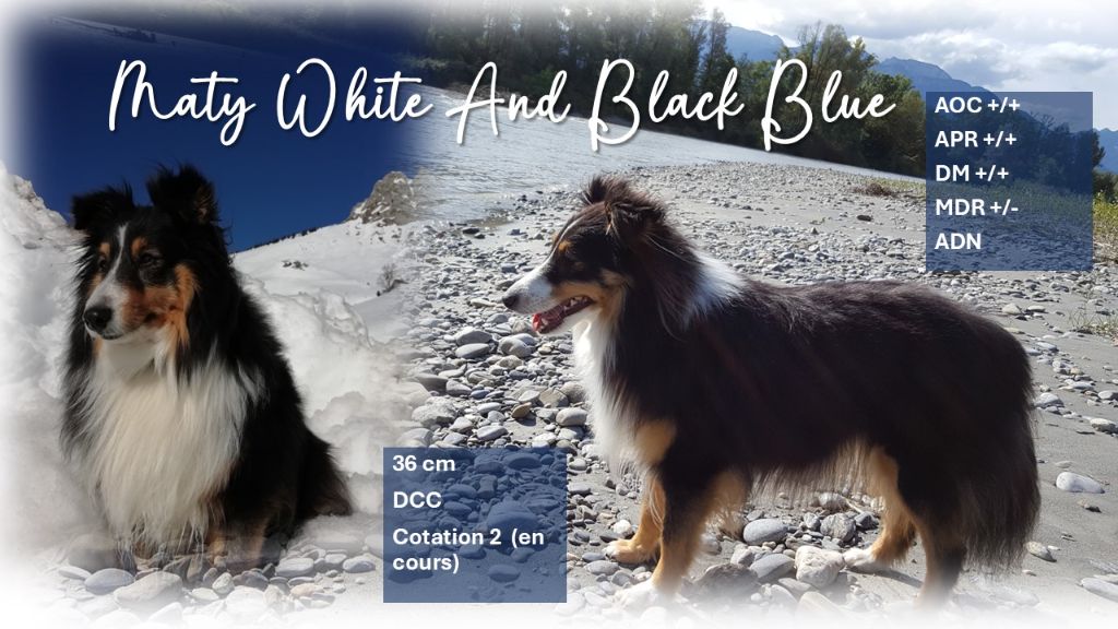 Mimy maty White And Black Blue