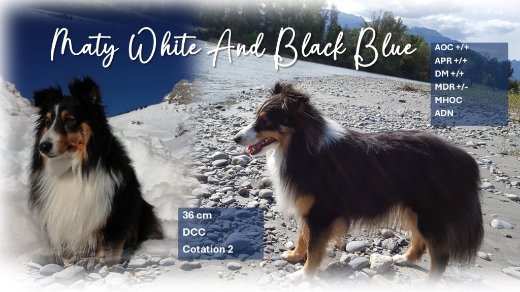 Mimy maty White And Black Blue