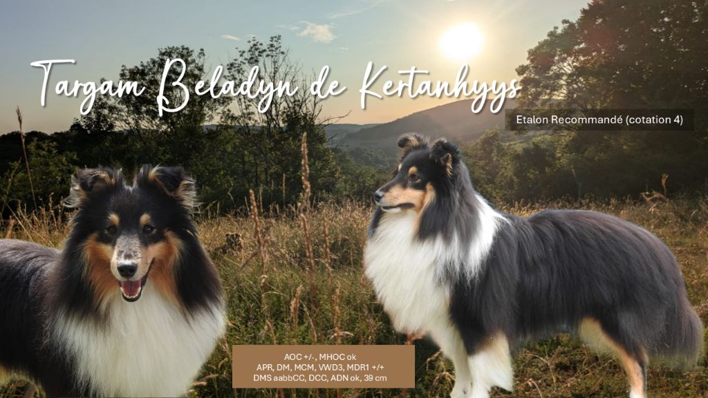 Targam beladyn de Kertanhyys