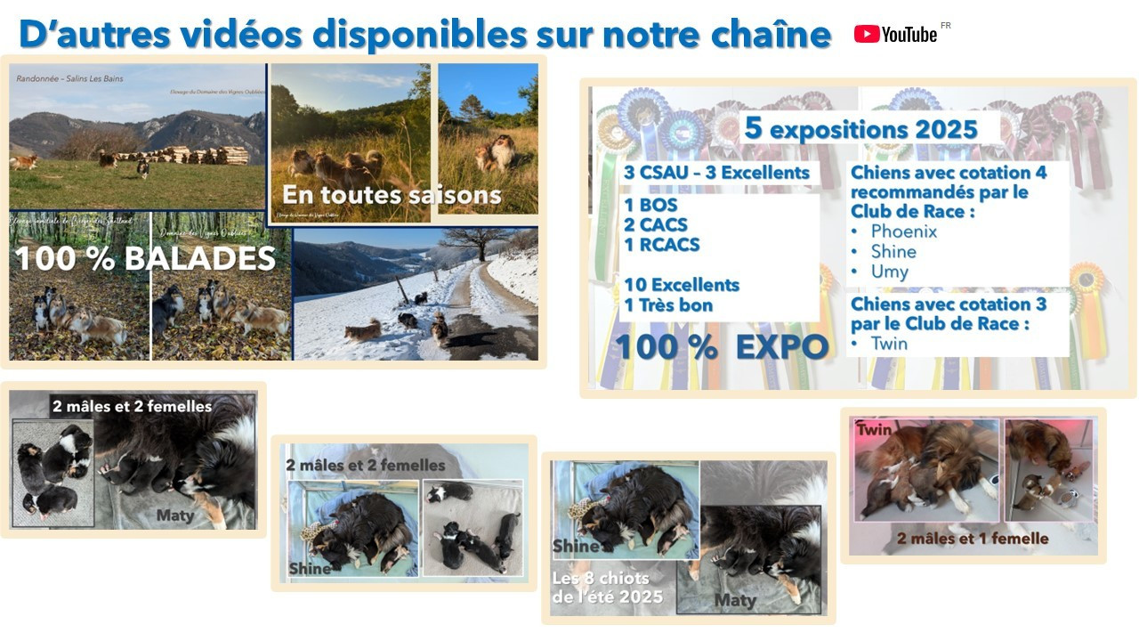 Retrouver toutes les vidéos de l'élevage sur la chaîne YouTube