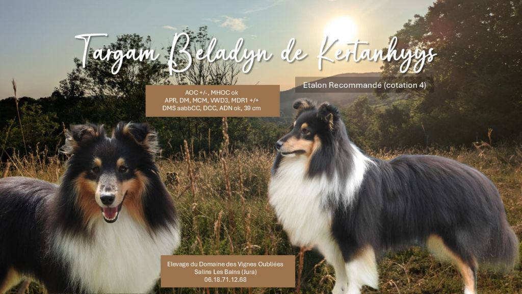 Du Domaine Des Vignes Oubliées - Vente de Phoenix-Targam