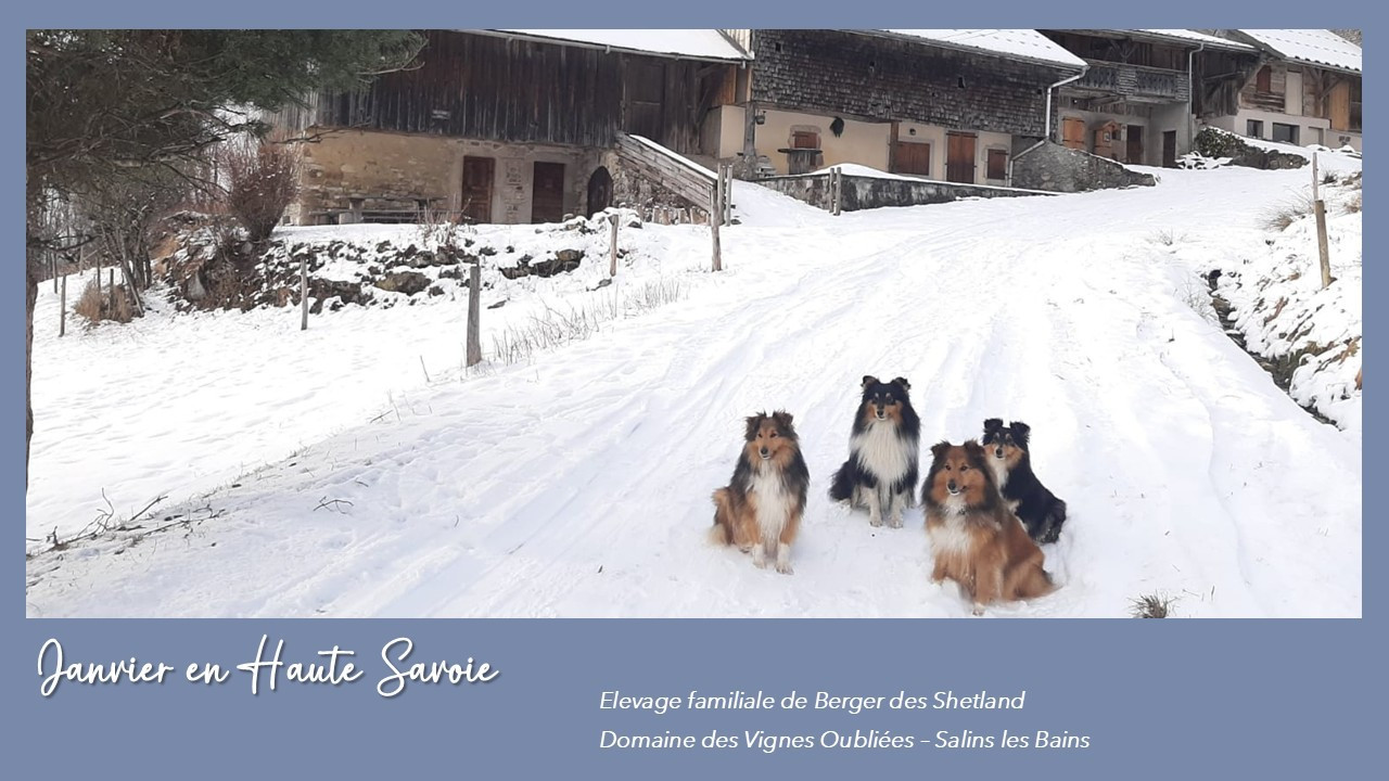 Shooting Photos 2026