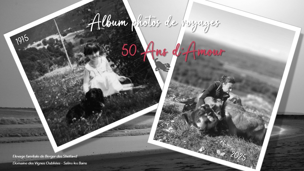 Un album dédié à mes 50 ans de partage avec mes chiens sur fond de magnifiques photos de voyages ...